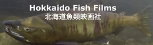 北海道魚類映画社